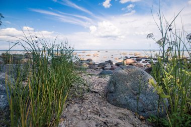 Güneşli yaz gününde Baltık Denizi kıyısında büyük taşlar.