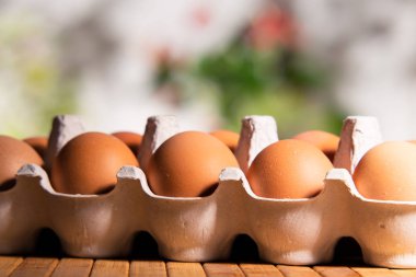 Fotoğraf ürün kaliteli yayınlar göstermek. Bir başlangıç ya da yeni bir yaratıcı fikir bir sembolü olarak yumurta.