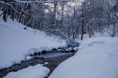 Gün batımı gün kış manzara. Kar ve alacakaranlıkta kış ormandaki ağaçlar.