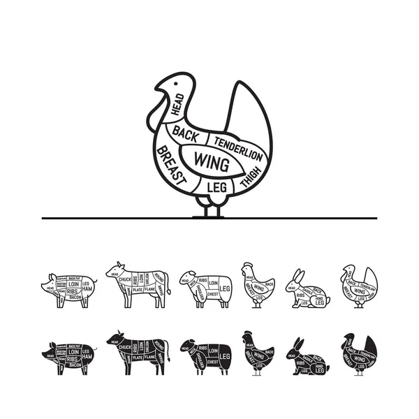 Diagrams for butcher shop -  turkey. Meat cuts. Animal silhouette, pig, cow, lamb, chicken, turkey, rabbit. Vector illustration.