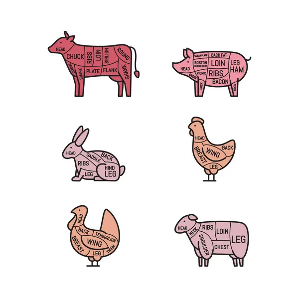 Diagramas Para Talho Cortes Carne Silhueta Animal Porco Vaca Cordeiro —  Vetores de Stock