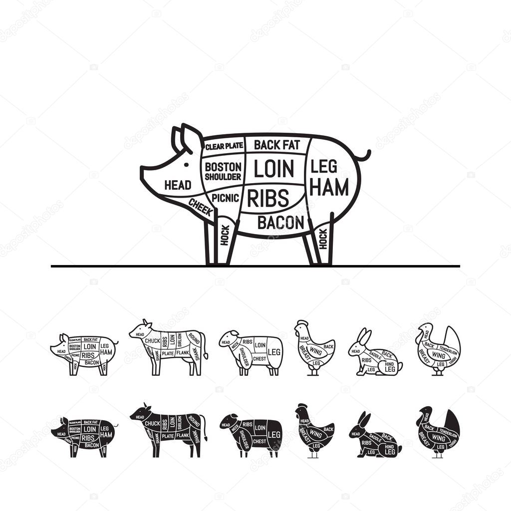 Diagrams for butcher shop - pig. Meat cuts. Animal silhouette, pig, cow, lamb, chicken, turkey, rabbit. Vector illustration.