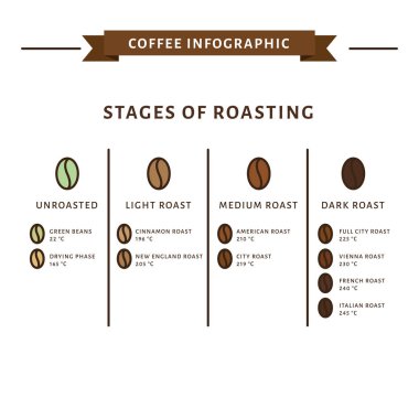Kahve Infographic. Kavurma aşamaları. Düz stil, vektör çizim. 