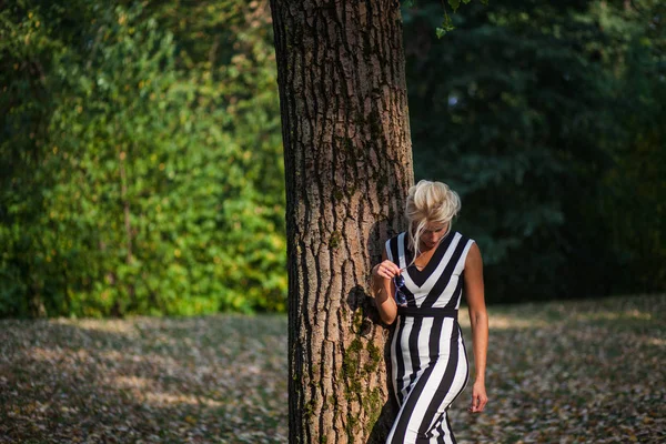 gün batımında sonbahar ormandaki güzel sarışın kadın