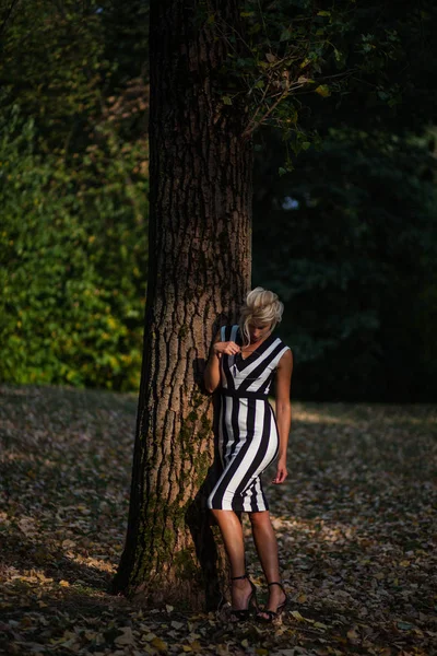 Vacker Blond Kvinna Höst Skogen Vid Solnedgången — Stockfoto