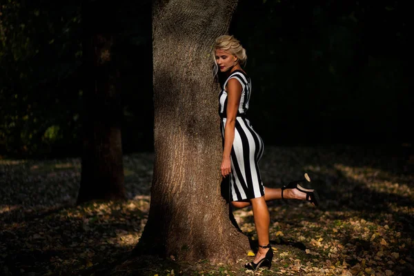 Bella Donna Bionda Nella Foresta Autunnale Tramonto — Foto Stock