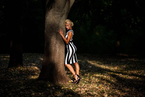 gün batımında sonbahar ormandaki güzel sarışın kadın