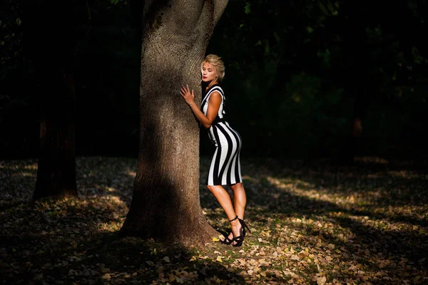 gün batımında sonbahar ormandaki güzel sarışın kadın