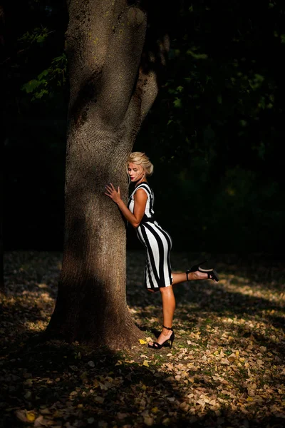 Vacker Blond Kvinna Höst Skogen Vid Solnedgången — Stockfoto