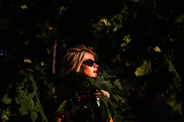 美丽的金发女子在秋季森林日落 — 图库照片