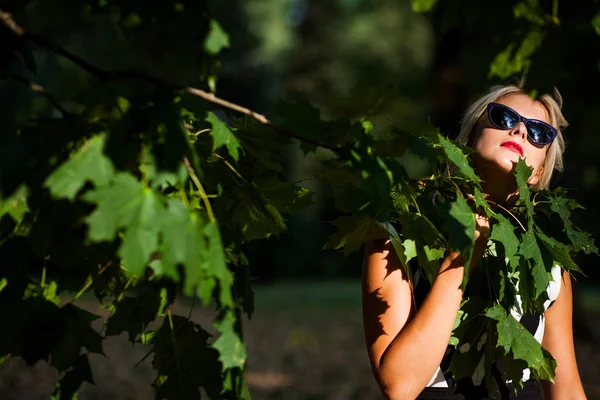 gün batımında sonbahar ormandaki güzel sarışın kadın
