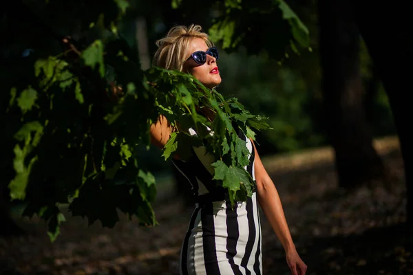 Vacker Blond Kvinna Höst Skogen Vid Solnedgången — Stockfoto