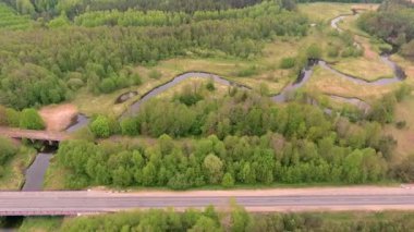 yeşil ormanda sarma nehir havadan manzara, drone üst görünümü
