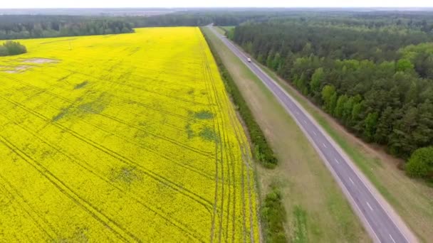 Luchtfoto van geel koolzaad en groene tarwevelden en de weg in het midden — Stockvideo