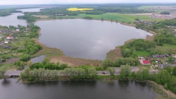 Luchtfoto van het grote meer in het bos — Stockvideo