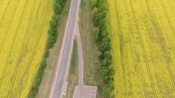 Vista aérea de colza amarilla y campos de trigo verde y carretera en el medio — Vídeos de Stock