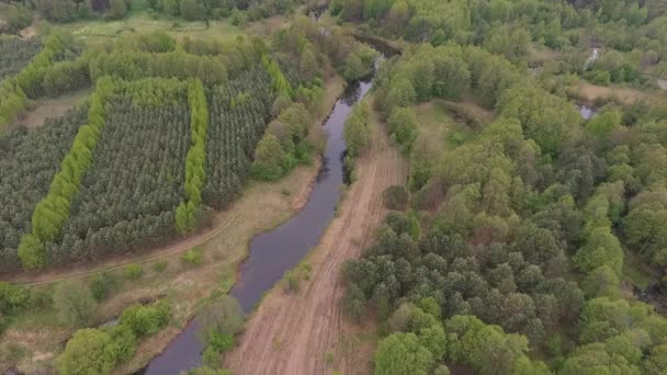 Légi táj kanyargós folyó zöld erdőben, felülnézet drone — Stock videók