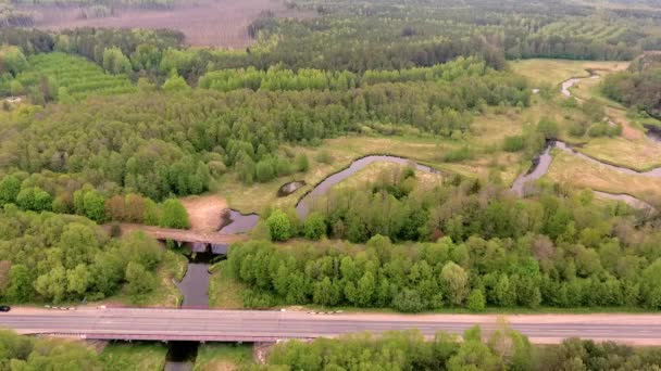 Powietrzny krajobraz krętej rzeki w zielonym lesie, widok z góry z Drone — Wideo stockowe