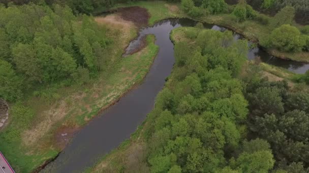 Powietrzny krajobraz krętej rzeki w zielonym lesie, widok z góry z Drone — Wideo stockowe