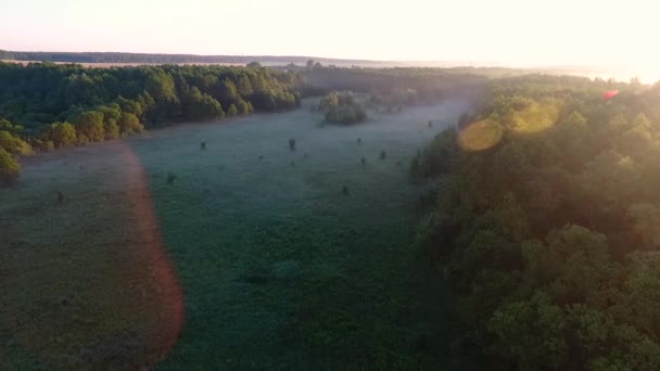 Schöner Sonnenaufgang auf dem Feld. Blick per Drohne — Stockvideo