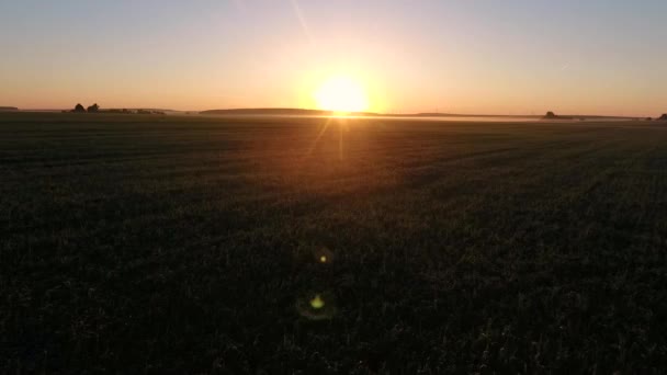 Prachtige zonsopgang op het veld. Weergave door Drone — Stockvideo