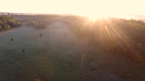 美丽的日出在田野上。通过无人机查看 — 图库视频影像