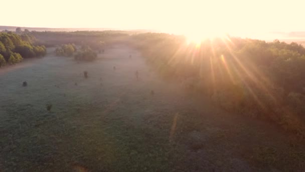 Schöner Sonnenaufgang auf dem Feld. Blick per Drohne — Stockvideo