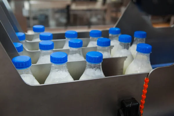 Linha de garrafas de leite em uma fábrica de laticínios — Fotografia de Stock
