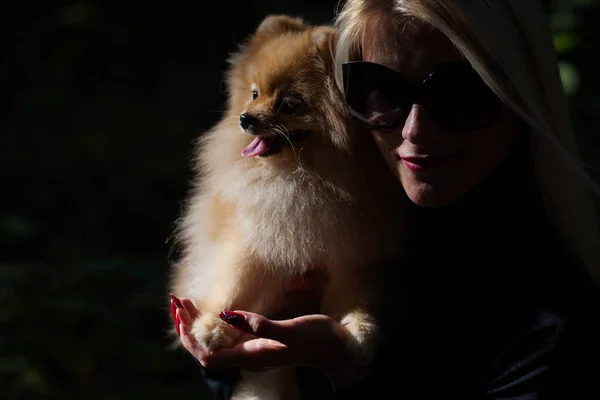 Jovem mulher da moda feliz com spitz anão na floresta de outono — Fotografia de Stock