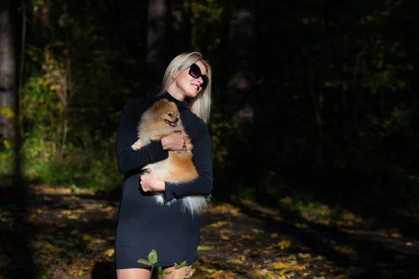Fröhliche junge Modefrau mit Zwergspitz im Herbstwald — Stockfoto