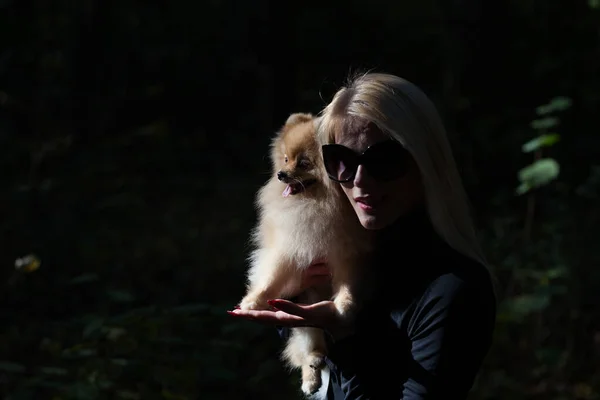 Jovem mulher da moda feliz com spitz anão na floresta de outono — Fotografia de Stock