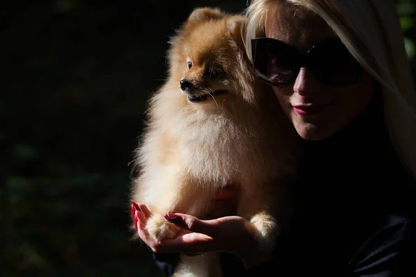 Jovem mulher da moda feliz com spitz anão na floresta de outono — Fotografia de Stock