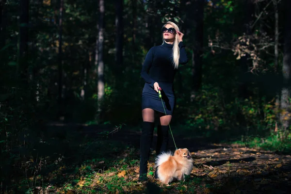 Jovem mulher da moda feliz com spitz anão na floresta de outono — Fotografia de Stock