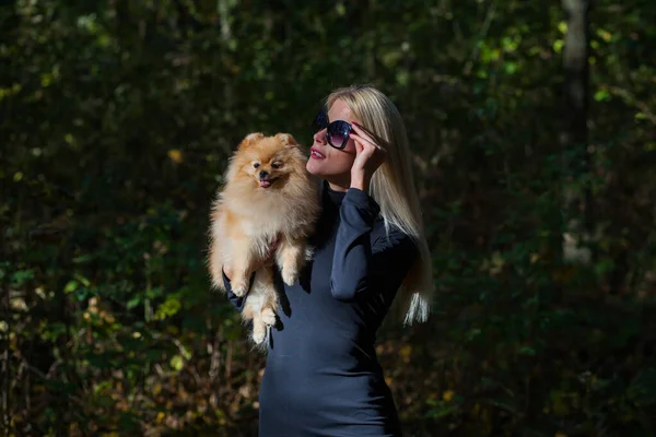 Jovem mulher da moda feliz com spitz anão na floresta de outono — Fotografia de Stock