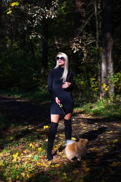 Glad ung modekvinna med dvärgspott i höstskogen — Stockfoto