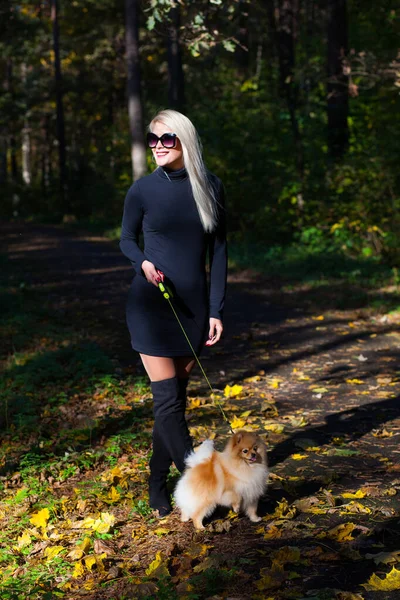 Jovem mulher da moda feliz com spitz anão na floresta de outono — Fotografia de Stock