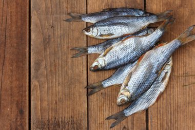 Tuzlu hamamböceği. Astrakhan 'dan geleneksel bir balık. Koyu ahşap tahtalar üzerinde.