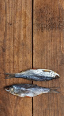 İki çiğ kurutulmuş hamamböceği, geleneksel Rus birası aperatifi koyu ahşap tahtalarda, dikey olarak üstte boşluk