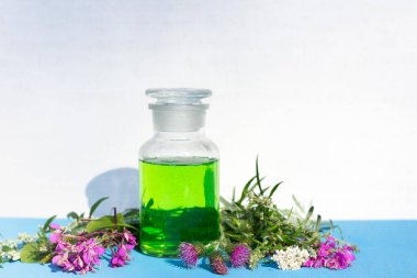 Kullanışlı bitkilerden elde edilen organik yeşil şampuan. Cam bir kavanozun içinde, mavi masanın üzerinde, çiçeklerle süslenmiş.