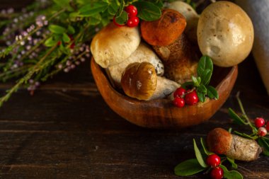 Ahşap bir kasede taze orman mantarları. Arka planda bulanıklık olan yakın plan. Koyu bir ahşap arka planda