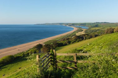 Slapton Sands beach and coast Devon England UK used by US Army in preparation for the D-Day landings in Exercise Tiger clipart