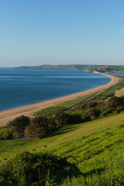 Slapton kum plaj ve sahil Devon İngiltere İngiltere