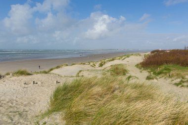Chichester West Sussex İngiltere İngiltere çevre Batı Wittering beach