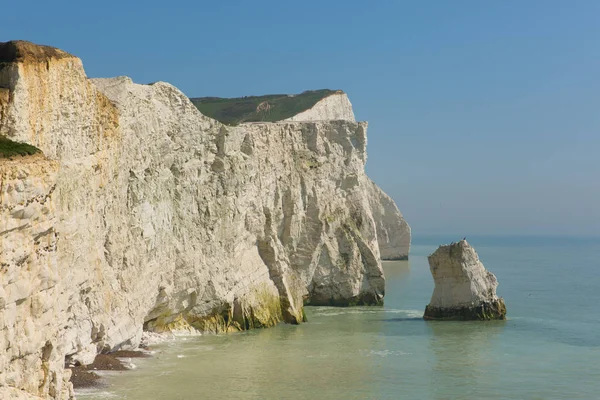 Splendida Costa Britannica Seaford East Sussex Inghilterra Meridionale Con Belle — Foto Stock