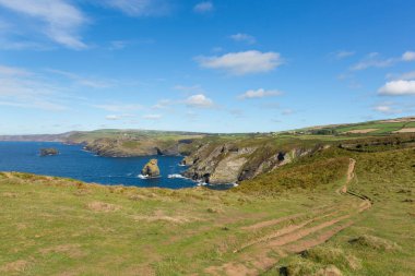 Güney Batı Yakası Farnham ve Tintagel arasında Kuzey Cornwall yolundaki yaz