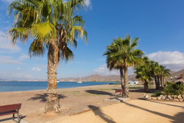 La Azohia Murcia İspanya sahilinde ve palmiye ağaçları ile