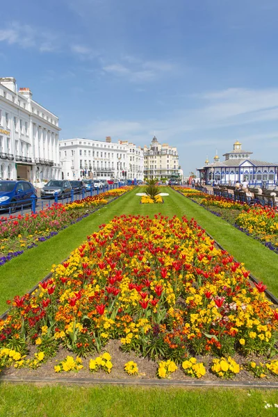 Vackra Blommor Och Vårsolen Var Njöt Besökare Till Eastbourne East — Stockfoto