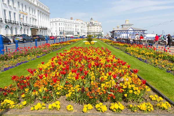 Wunderschöne Blumen Und Frühlingssonne Genossen Die Besucher Von Eastbourne East Stockbild