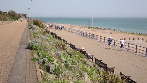 伊斯特本东苏塞克斯英格兰屋与人们享受春天的阳光走在海滨长廊 — 图库视频影像