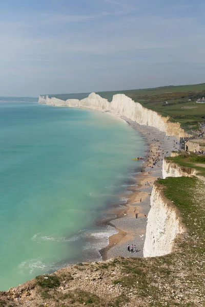 鸟的空白海滩和七姐妹白色粉笔峭壁东苏塞克斯英格兰 与绿松石蓝色海 图库图片